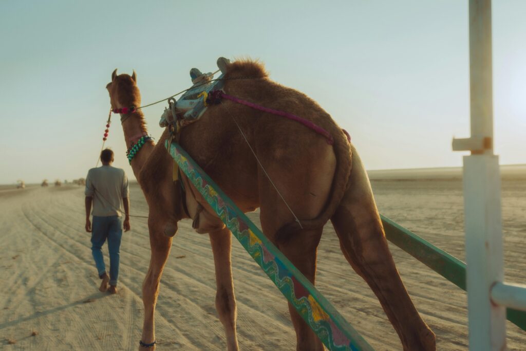 customized tour packages in India